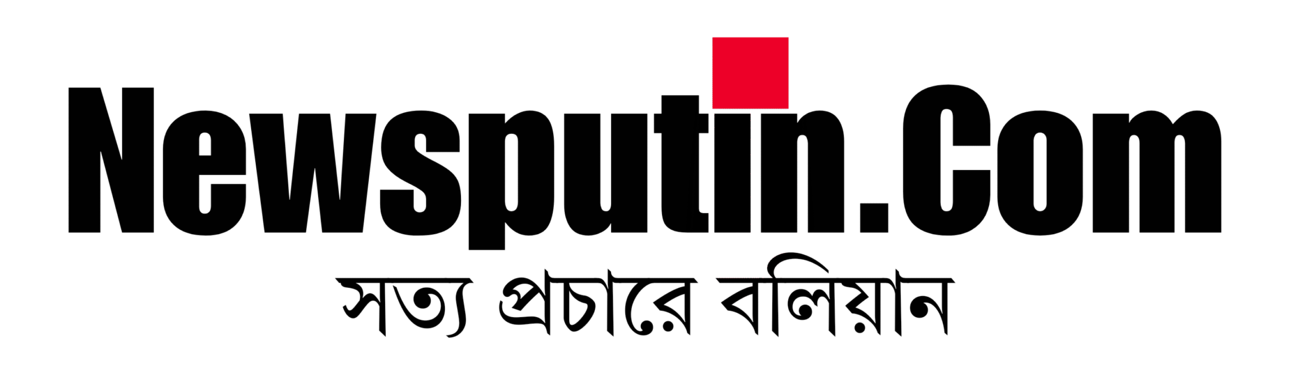 newsputin-logo